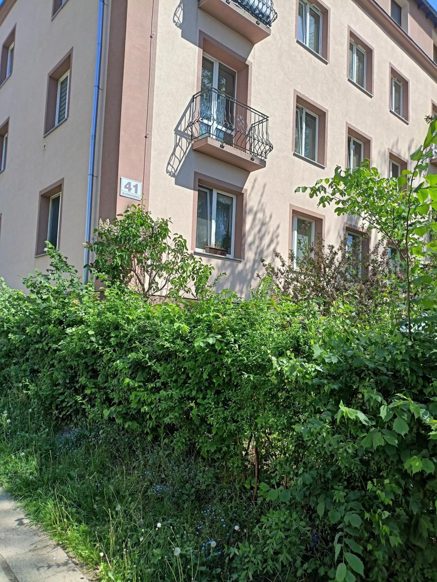 Apartament Slowackiego 41 Jelenia Góra Kültér fotó
