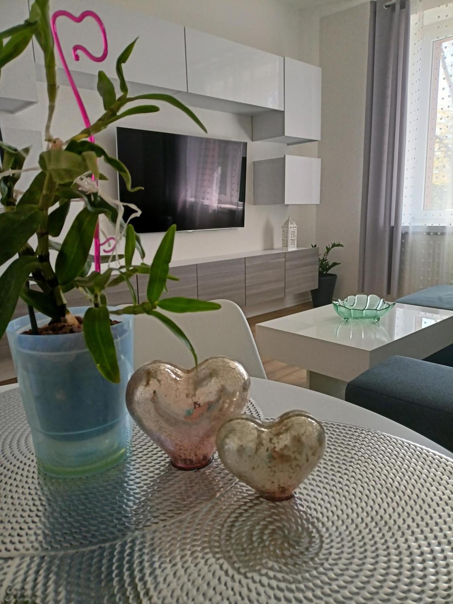 Apartament Slowackiego 41 Jelenia Góra Kültér fotó
